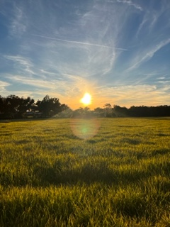 Graceful Days Normally